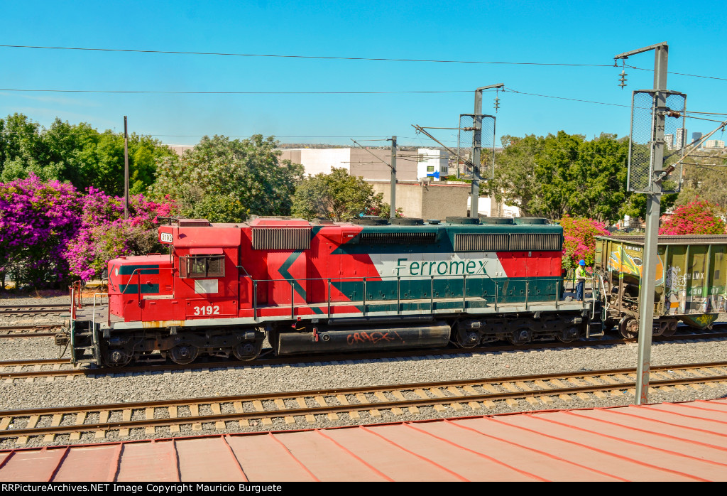 FXE SD40-2 leading a train